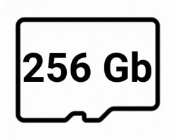 Карты памяти microSD объёмом 256 Гигабайт
