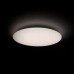 Потолочная лампа Yeelight Ceiling Light A2001C450 Galaxy (YLXD032)